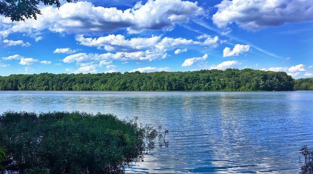 Bike, run, walk, fish, row. Burke Lake has a multitude of activities and is a gentle surprise when you begin to walk along the lake's edge and see how easy, and how quickly, you can travel along the lake.
The lake itself can be a mirror to the sky and the trails are quite clear. For an opportunity to get away from the city, it's well worth the trip. Locals to Fairfax County can get in free of charge while those outside of the county must pay a fee. #getoutdoors #localparks #stateparks