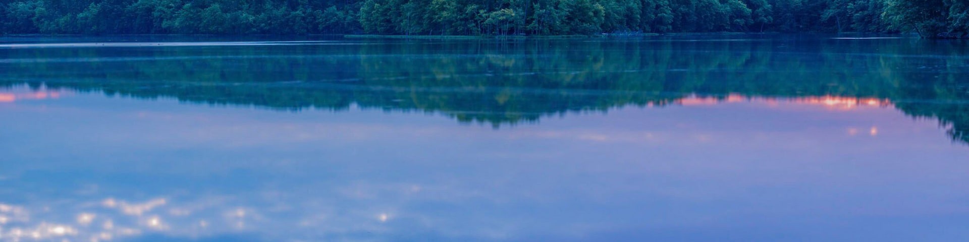 Blue Heron just before sunrise. This guy stood as still as possible for this 8sec exposure #BVSBlue