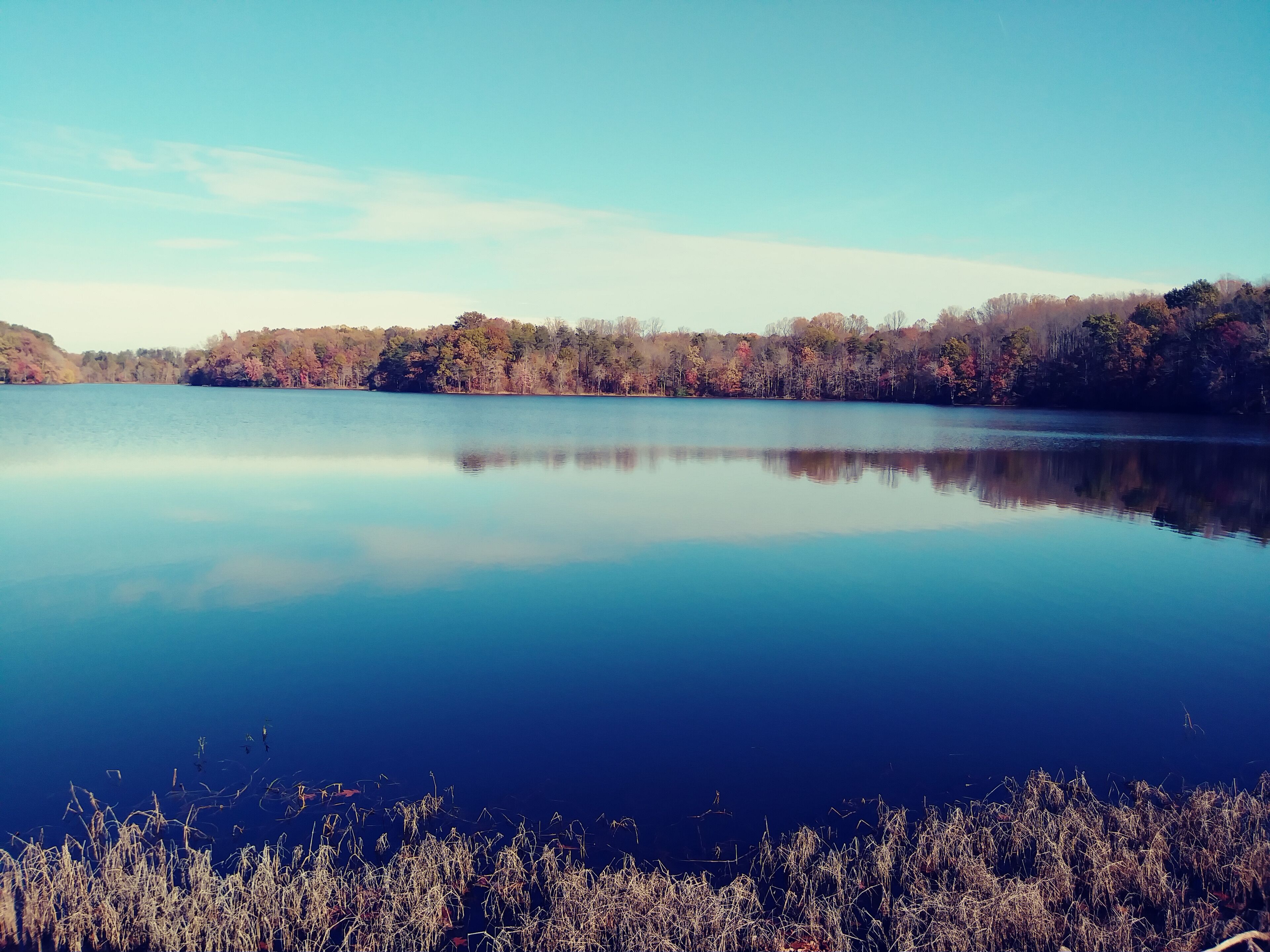 Walking path at Burke Lake park. 4.5 miles, mostly flat. #trovember