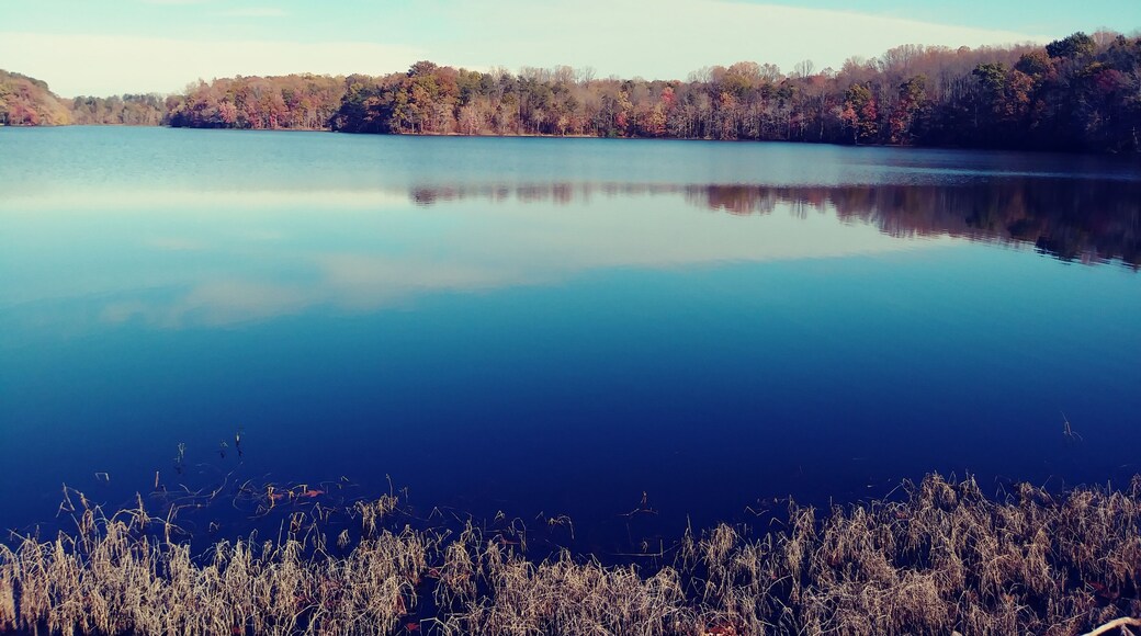 Walking path at Burke Lake park. 4.5 miles, mostly flat. #trovember