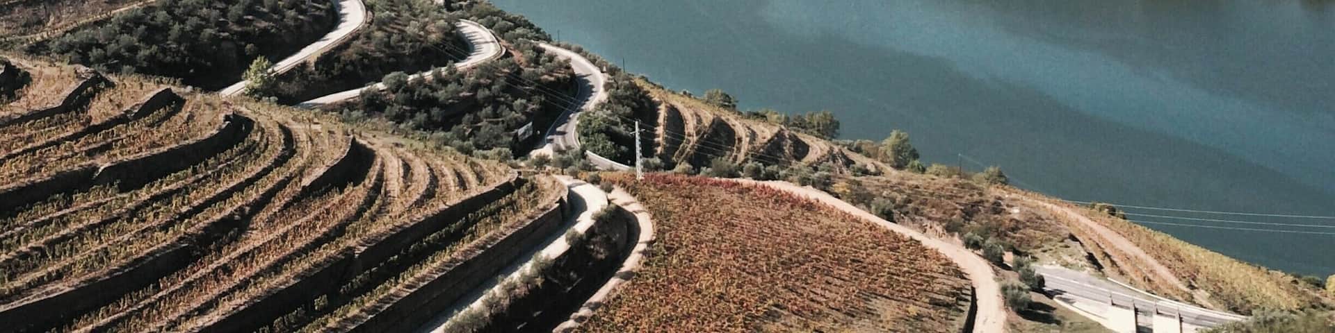 Much of our time in Oporto was actually spent outside of the city in the Douro Valley exploring various wineries and taking in the natural beauty of the area. Highly recommend Viator for tours.
More info: http://www.badsentences.com/travel-porto-part-ii/