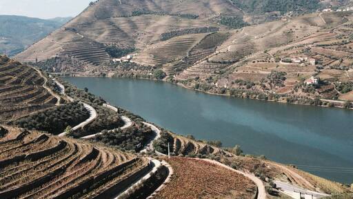 Much of our time in Oporto was actually spent outside of the city in the Douro Valley exploring various wineries and taking in the natural beauty of the area. Highly recommend Viator for tours.
More info: http://www.badsentences.com/travel-porto-part-ii/