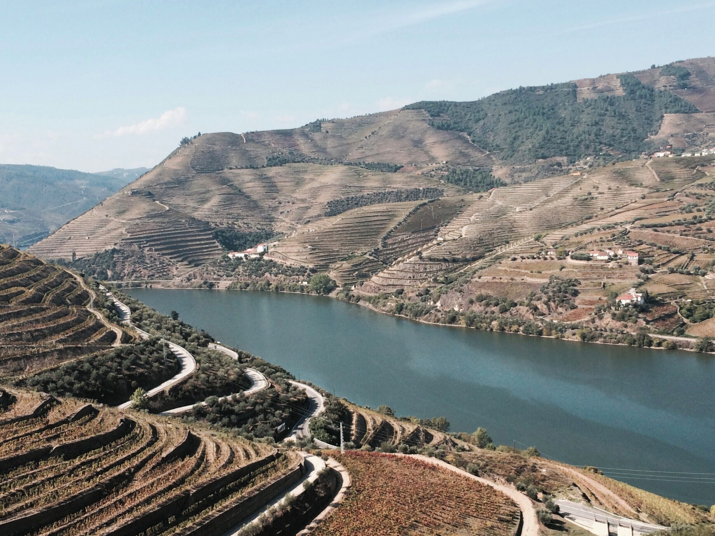 Terraced vineyards along a river, surrounded by rolling hills and sparse vegetation.