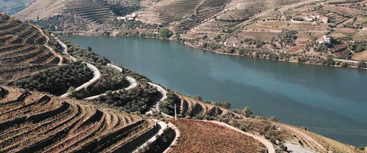 Terraced vineyards along a river, surrounded by rolling hills and sparse vegetation.
