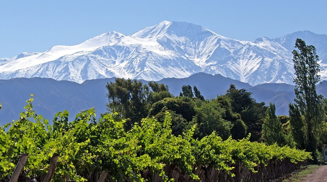 ํค๋ค๋ ๊ตฌํฐ์๋ ์ค