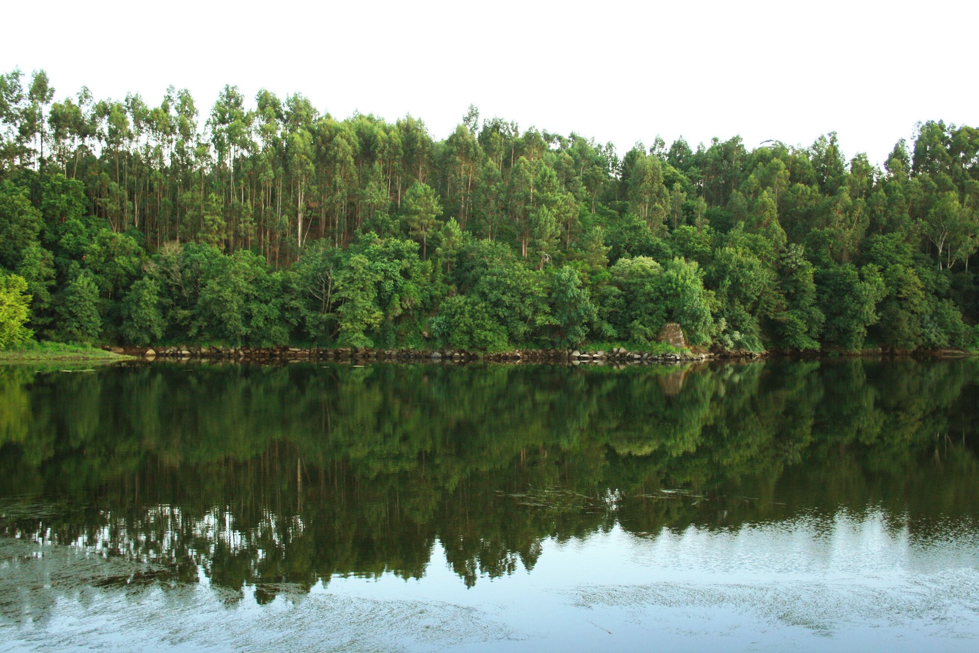 El Río Miño a su paso entre Salvaterra de Miño (España) y Monção (Portugal), visto desde la orilla española. Minho River between Salvaterra and Monção Minho River in its path between Salvaterra de Miño (Spain) and Monção (Portugal), seen from the Spanish shore.