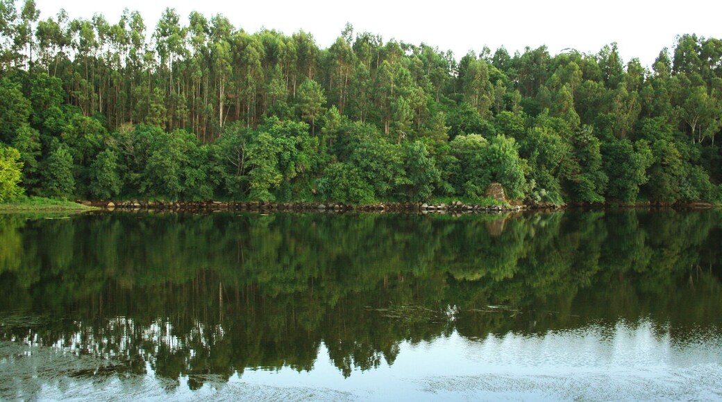 El Río Miño a su paso entre Salvaterra de Miño (España) y Monção (Portugal), visto desde la orilla española. Minho River between Salvaterra and Monção Minho River in its path between Salvaterra de Miño (Spain) and Monção (Portugal), seen from the Spanish shore.