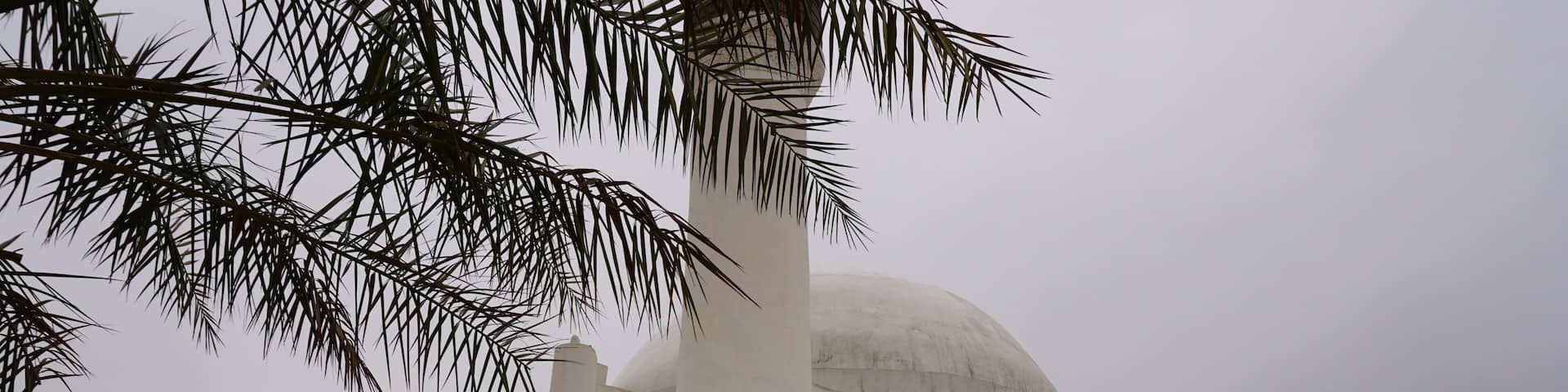 A white building with arches and a dome, surrounded by palm trees.