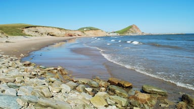 A rocky beach with waves, grassy hills, and a clear blue sky.