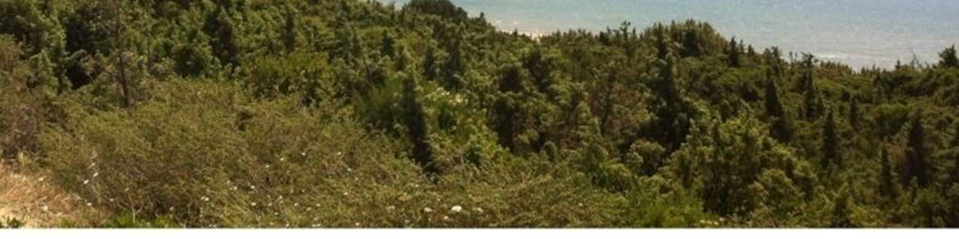 San Felice al Circeo !! ❤❤❤❤