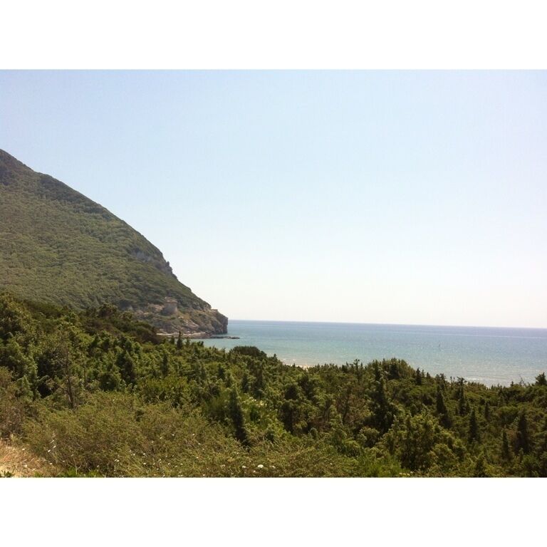 A coastal landscape with a forested hill and a clear view of the sea.