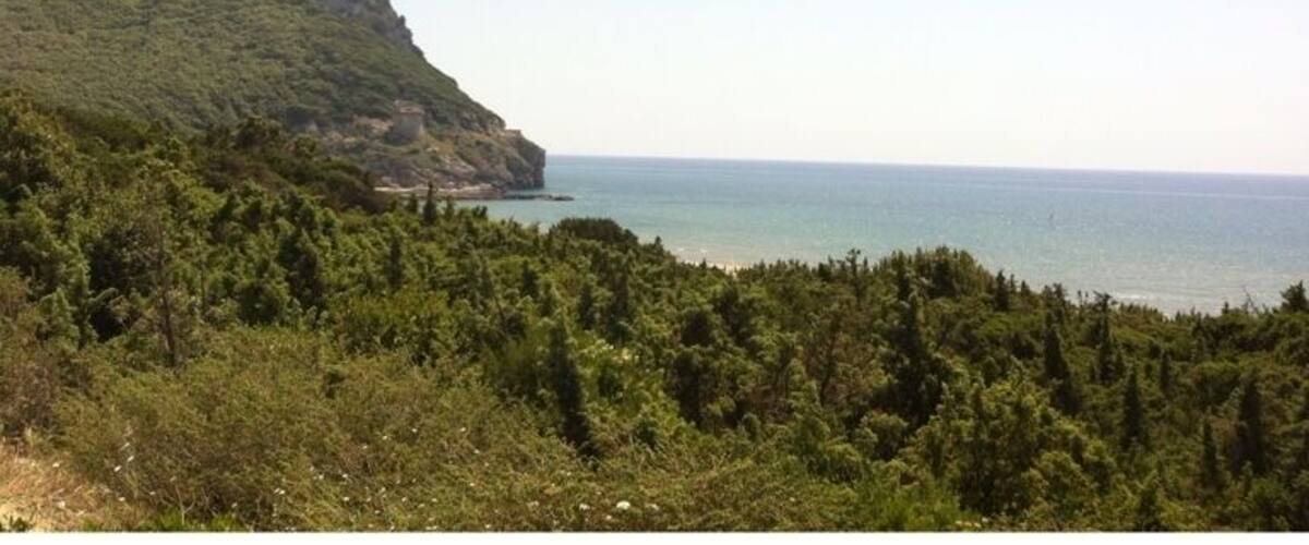 A coastal landscape with a forested hill and a clear view of the sea.