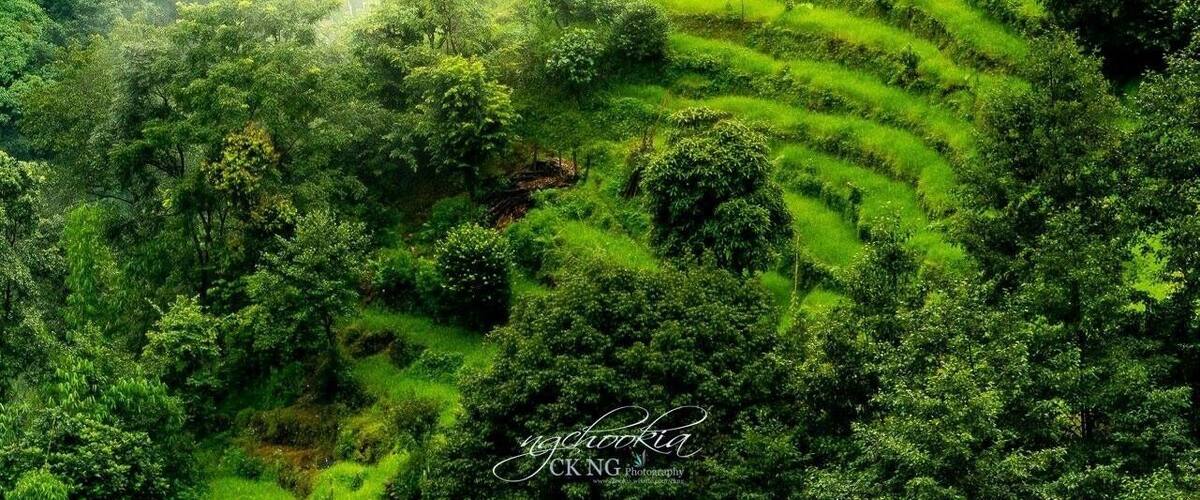 感受大自然Mother Nature II Poon Hill Nepal
去聆听鸟儿的歌声,去闻闻野花的清香,去感受清风的吹拂和绿叶的沙沙声。去感受声音的美,色彩的美,味道的美,生命的美,大自然的美。