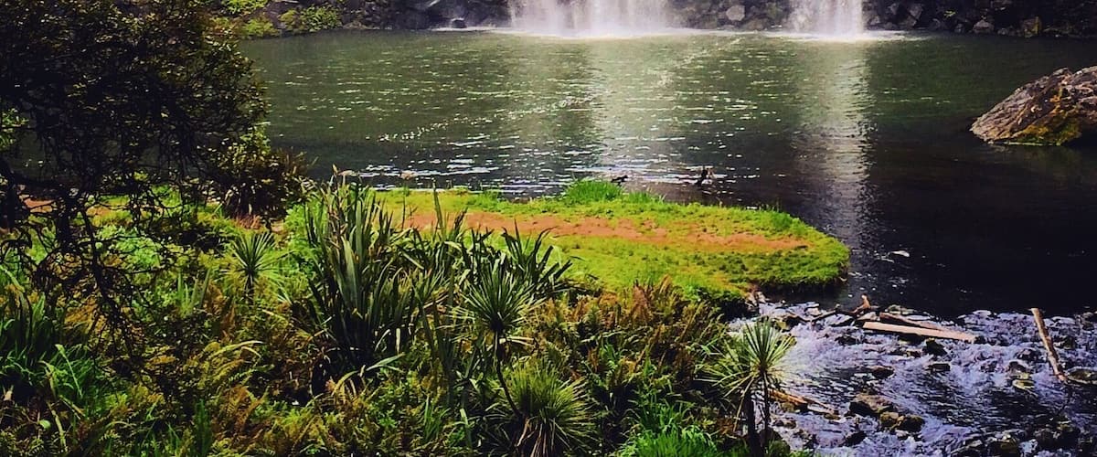 Just a few minutes from Whangarei you can enjoy in the beautiful music played by the Whangarei Falls...