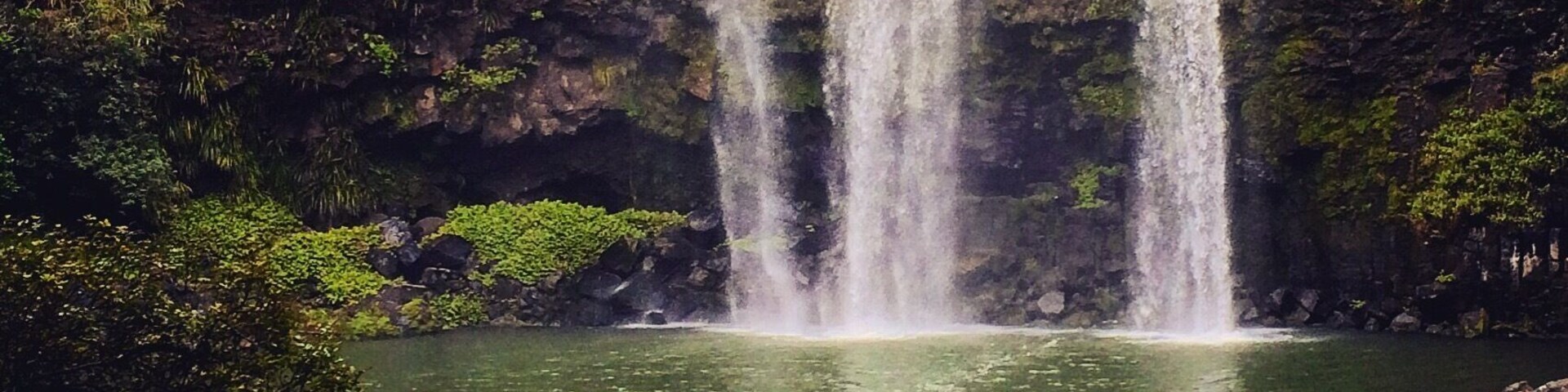 Just a few minutes from Whangarei you can enjoy in the beautiful music played by the Whangarei Falls...
