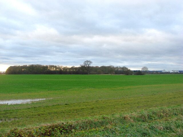 Copse and farmland viewed from Spring Well House
