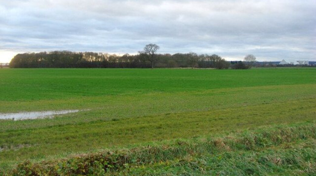 Copse and farmland viewed from Spring Well House