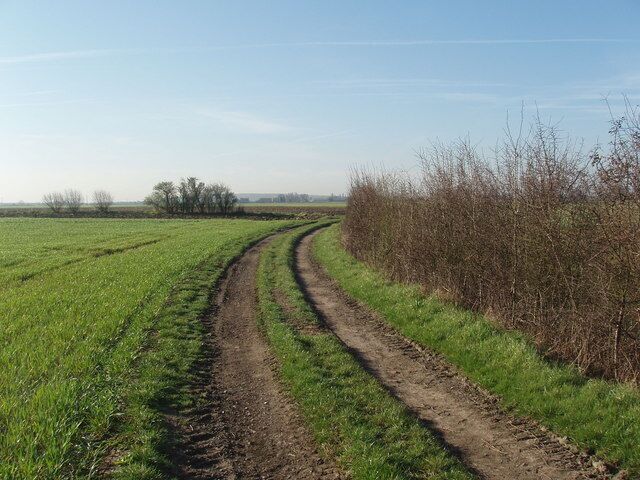 Agricultural Access Lane Near Little Fenton Lodge (in an adjacent square) this lane gives access to arable fields and runs alongside a drainage dirtch from which it is separated at this point by a hedge. The hedge to the left, at a right angle to the lane is a field boundary.