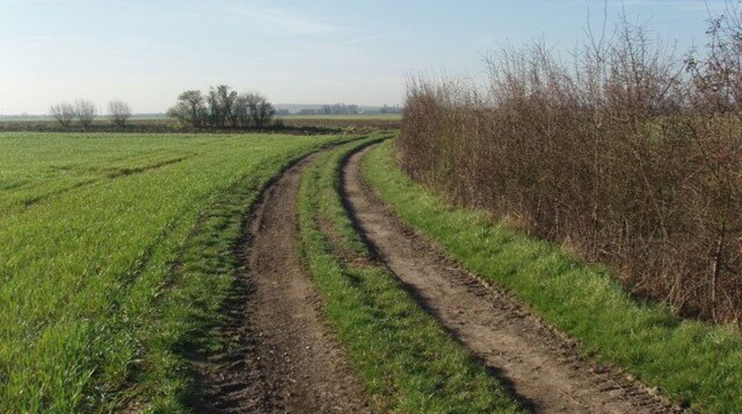 Agricultural Access Lane Near Little Fenton Lodge (in an adjacent square) this lane gives access to arable fields and runs alongside a drainage dirtch from which it is separated at this point by a hedge. The hedge to the left, at a right angle to the lane is a field boundary.