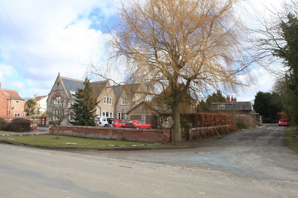 A residential street with houses, parked cars, and a large leafless tree.