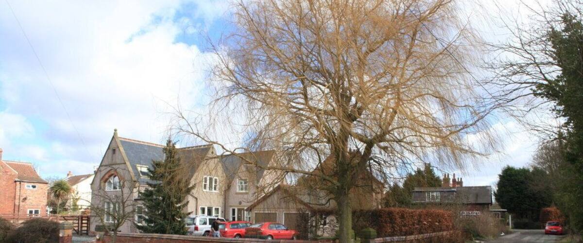 A residential street with houses, parked cars, and a large leafless tree.