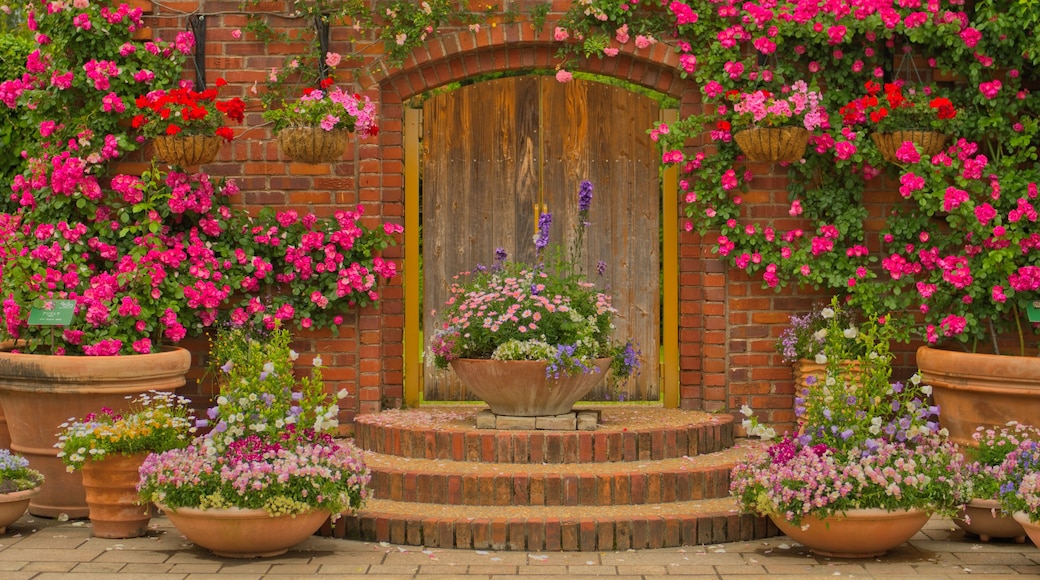 Un bâtiment en briques avec une porte en bois, entouré de roses éclatantes, aux couleurs rose et rouge.