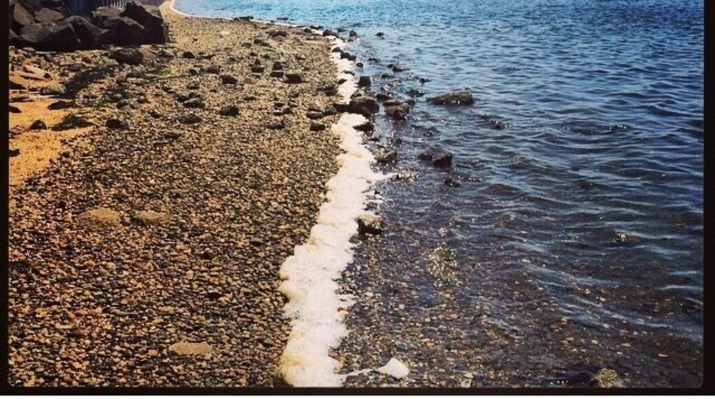 Beautiful view! On the south side of ocean parkway!