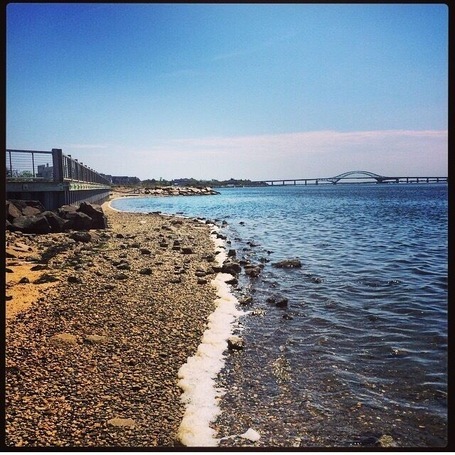 Beautiful view! On the south side of ocean parkway!