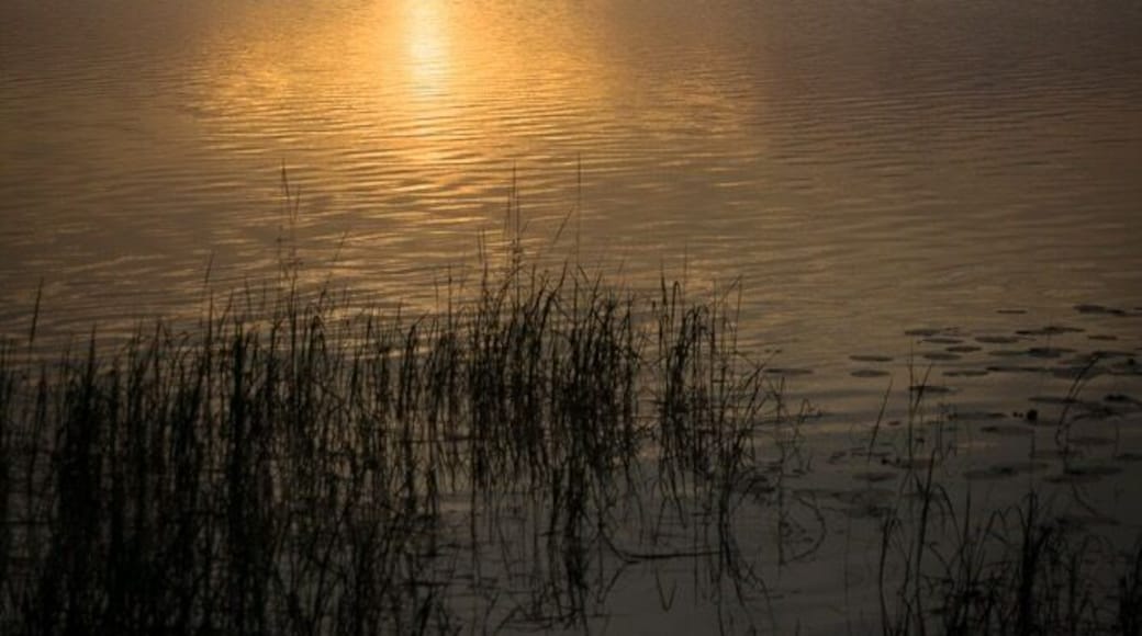 Sunrise over Benedict Lake #golden #lake #sunrise #minnesota