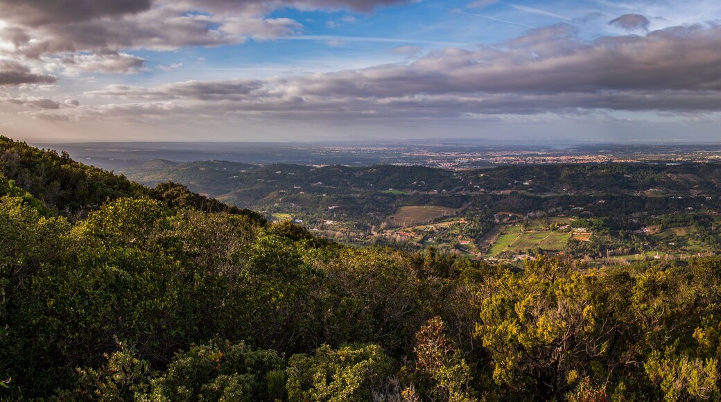 Portinho da ArrĂĄbida