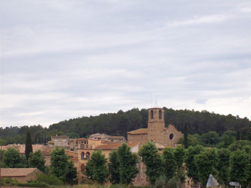A town with historic buildings, a prominent church tower, and a hill in the background.