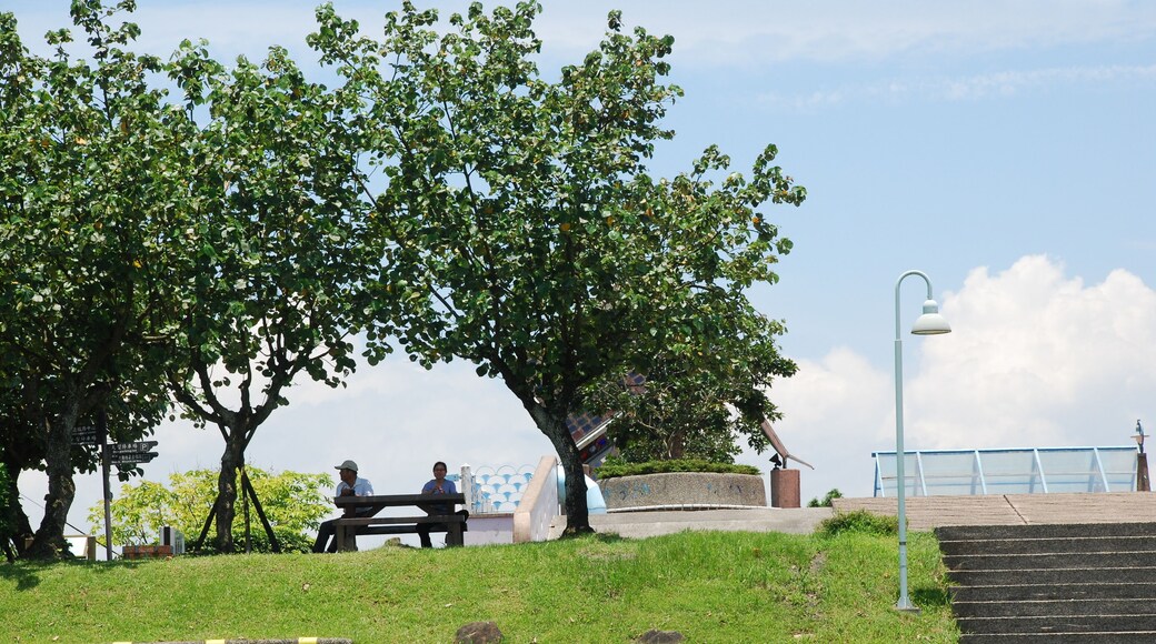 268, Taiwan, 宜蘭縣五結鄉協和村