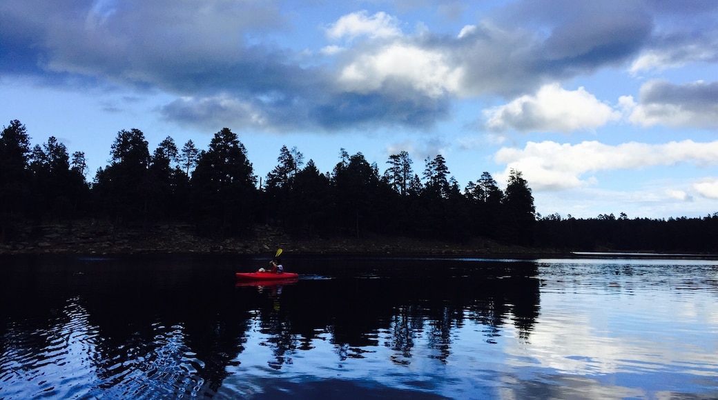 Serenity....at Woods Canyon lake...perfect way to spend the Saturday afternoon 😃