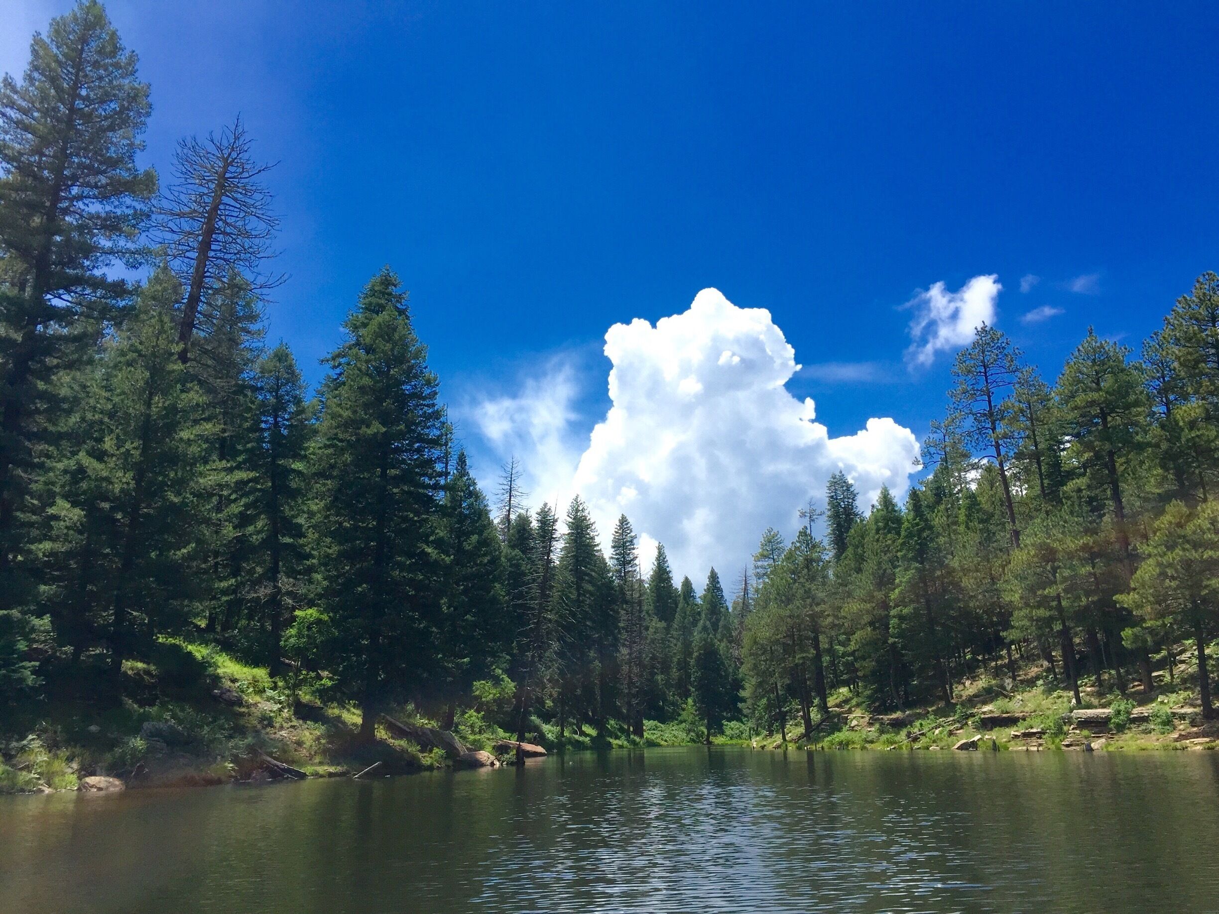 This place is just pristine and calm...rented a boat with my wife and explored the lake and the wonderful view of the forest...