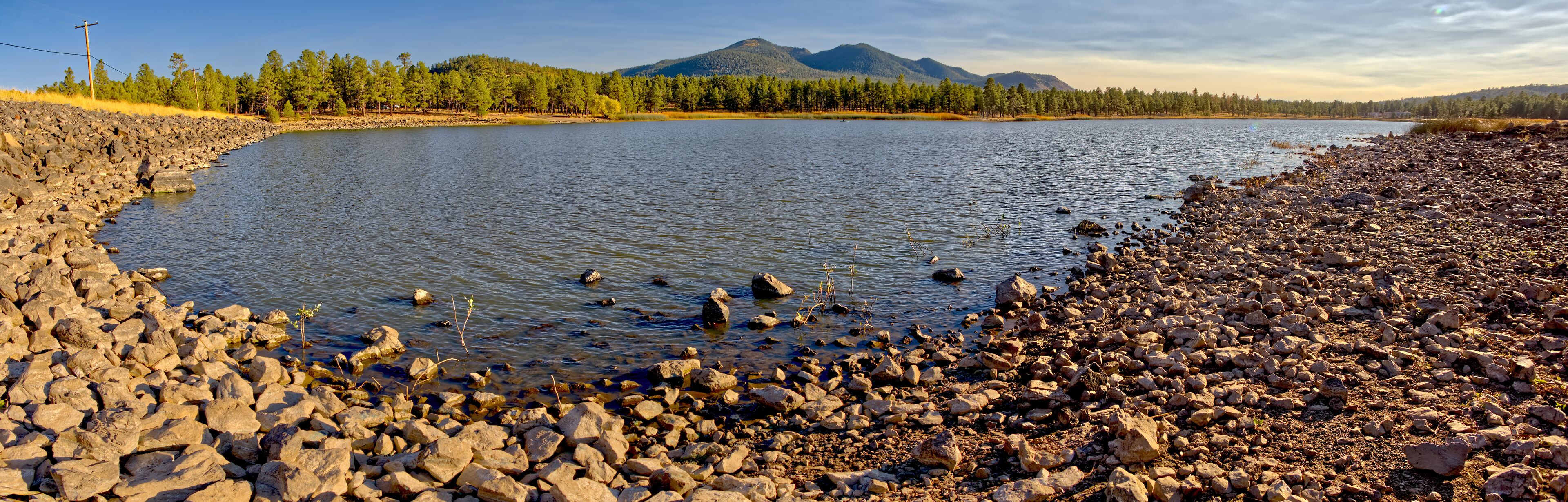 フォレスト レイクス