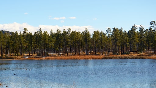 Lake of the Woods Arizona