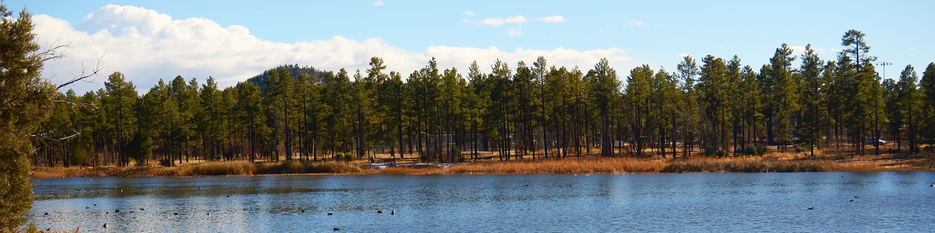 Lake of the Woods Arizona