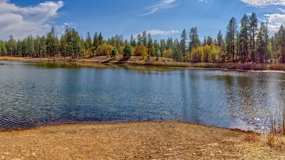 A calm lake surrounded by trees and dry grass.