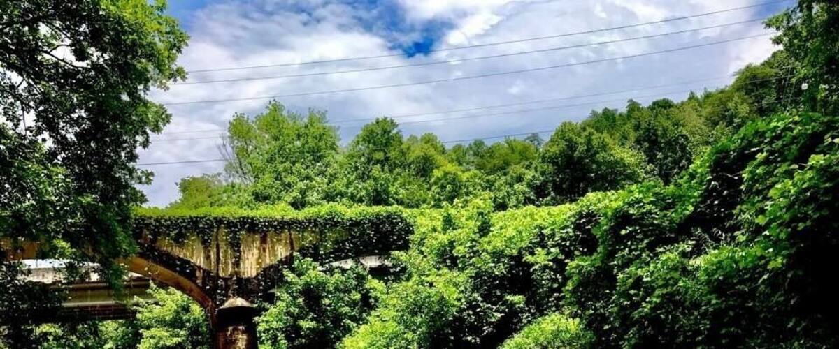 A river with a bridge, lush greenery, and a cloudy sky.
