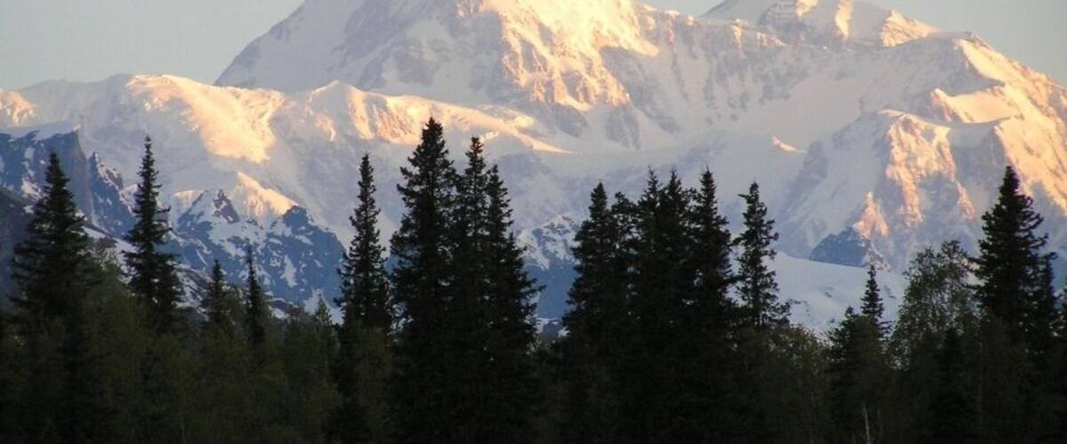 A snow-capped mountain range with dense forest in the foreground.