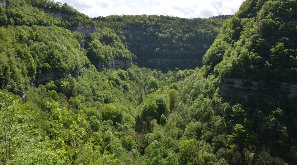 The start of the Louegorge with a high road climbing to the plateau, magnificent panoramas