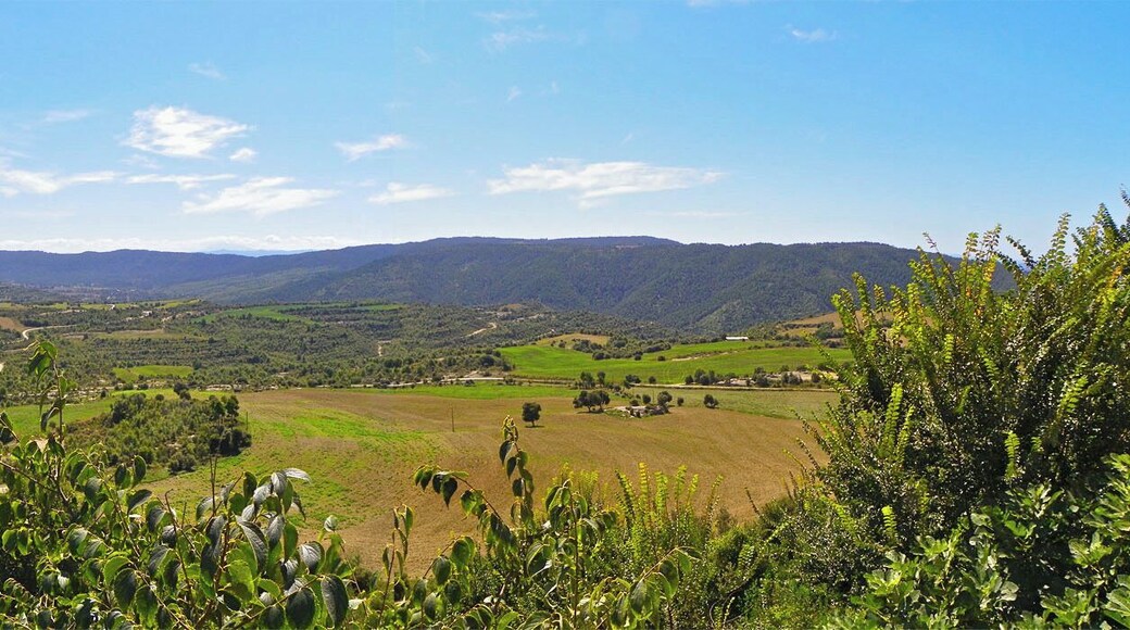 Santa Maria de la Guàrdia, panorama a llevant