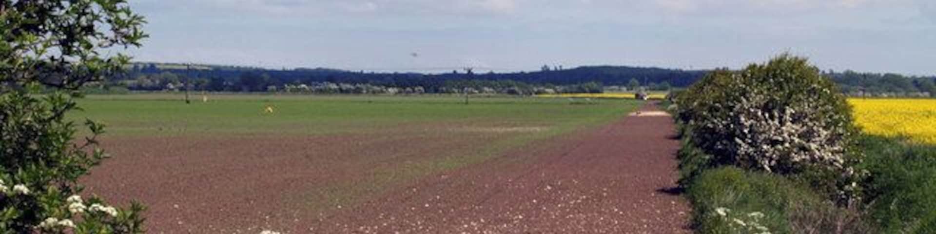 East of the New River Ancholme. Picture taken looking approx. ENE from the right-of-way marked on the OS map as leading to "The Bungalow". This track is not very apparent on the ground.