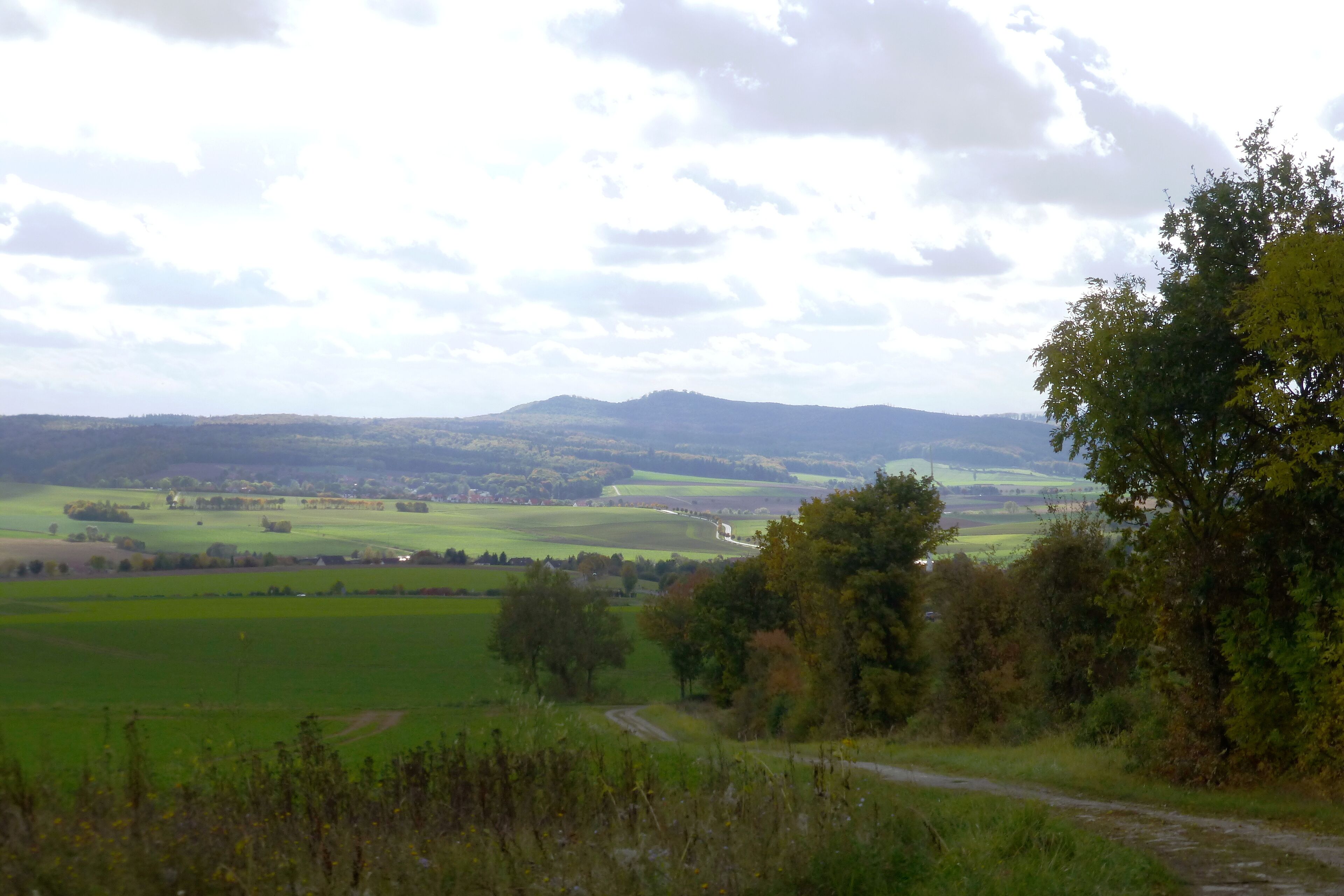 A rural landscape with rolling hills, a winding road, and a dense tree line.