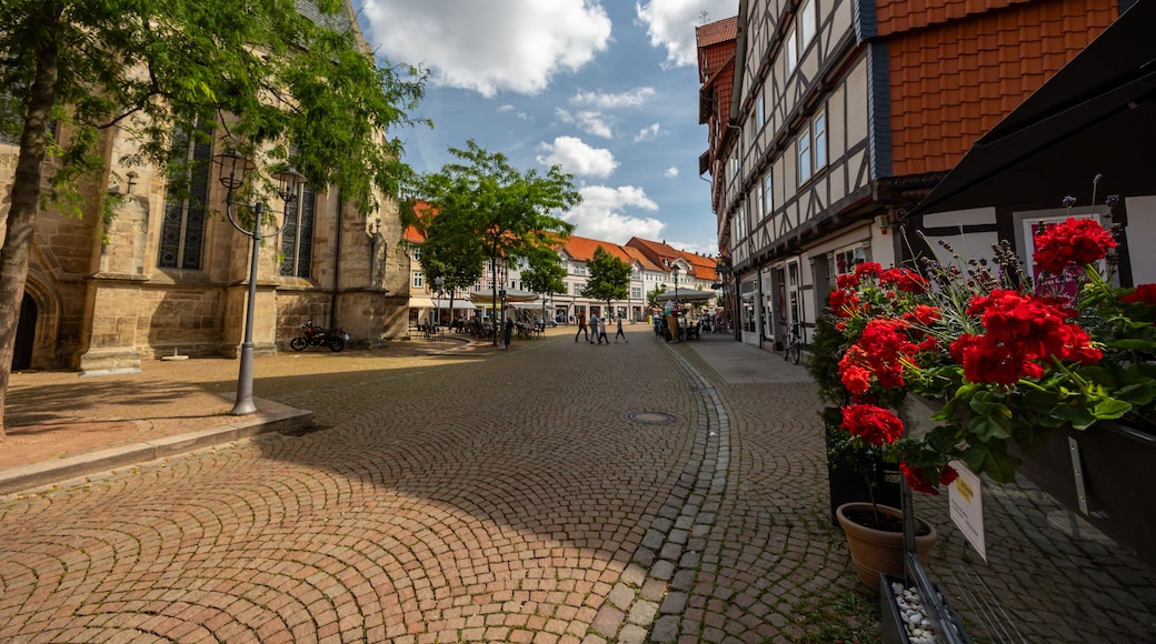 A cobblestone street in a European town with historic buildings, a church, and red flowers in pots.