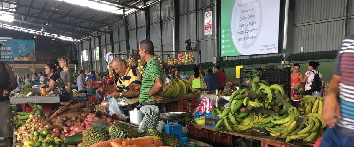 A market with various vegetables like carrots, potatoes, and bananas.