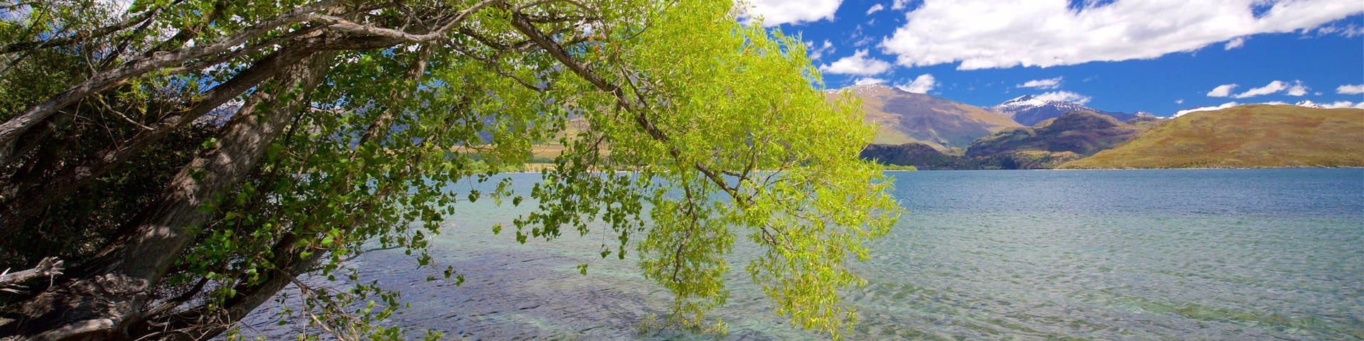 Um lago límpido com uma árvore em primeiro plano e montanhas ao fundo.