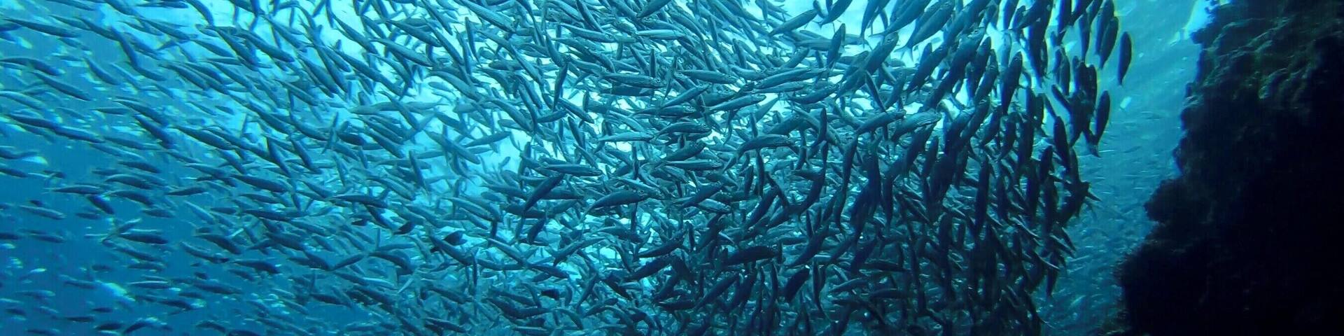 Not crowded at all here