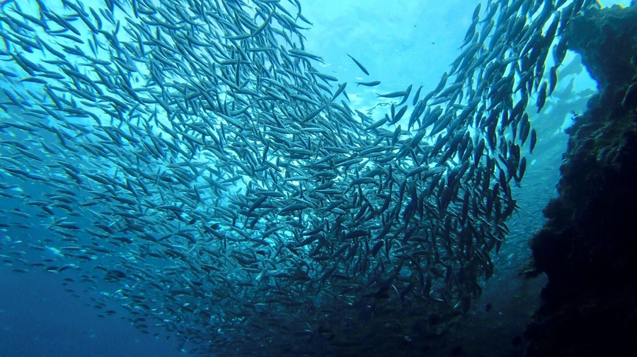 Not crowded at all here