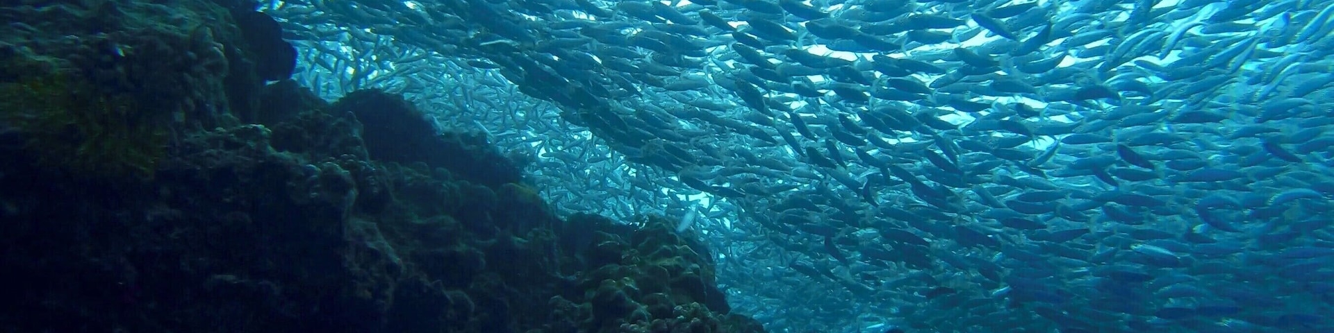 A must visit while in Bohol for people who like snorkeling